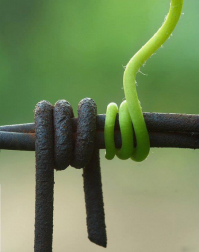 ДОБРО и ЗЛО