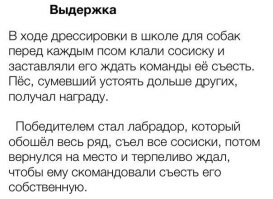 У собак тоже смекалка работает)