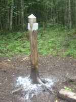 Вот такие штуки в лесу ставить надо