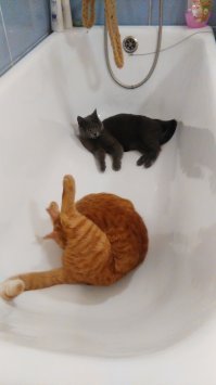 Ну вы поняли.