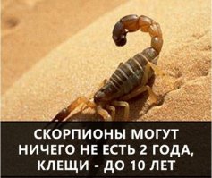 10 фактов, которые по-настоящему занимательны