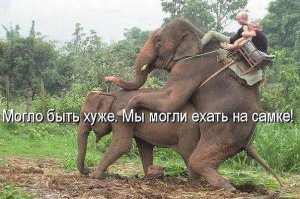 Немного фото из поездки в Таиланд