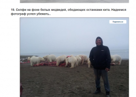 А чем отличается селфи от фото?