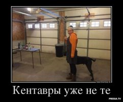 Тут и фотошопа не надо: неудачные панорамные фото