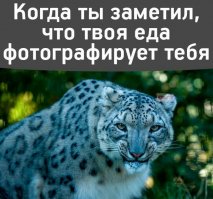 По верхней фотке: