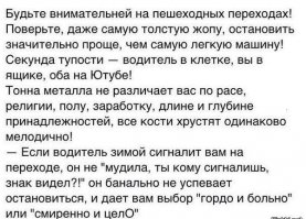 Водила мудак и баран, но пешеход тоже должен думать о себе!