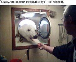 Смешные комментарии из социальных сетей!