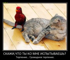 Уверенность в себе, уровень - бог!