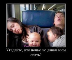 Порция весёлых картинок