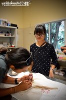 "Ветеринар держала котенка на груди..."
ГДЕ?