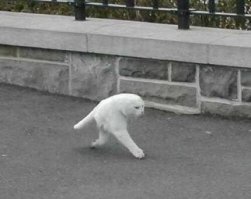 Тут и фотошопа не надо: неудачные панорамные фото