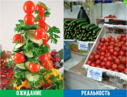 Камчатка или Сахалин?