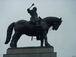 Сравните пропорции и размеры лошадей: