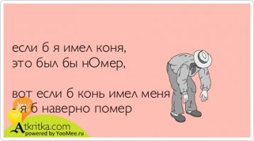 Лошадиное совершенство