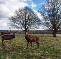 Фото, которые следует смотреть дважды