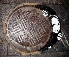 Красота под ногами