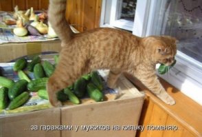 Некоторые и не боятся вовсе,даже наоборот