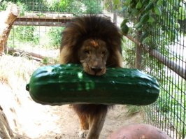 Нашёл только такое.