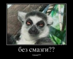 Смешные комментарии из социальных сетей!