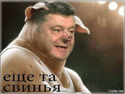 Без сладкого. Порошенко отказался раздавать бесплатно новогодние подарки семьям героев АТО  И