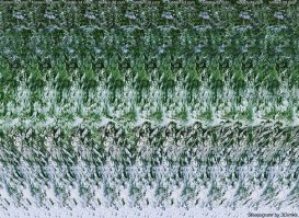 тогда уж лучше такими картинками взрывать мозг )) либо глаза сломаешь, либо увидишь )))