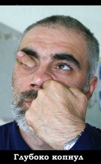 Эти картинки взорвут вам мозг!