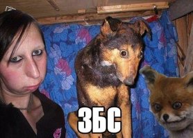 Эти картинки взорвут вам мозг!