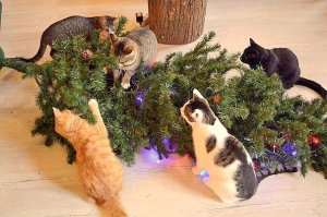 Если верить математикам, то 2017 год будет простым!