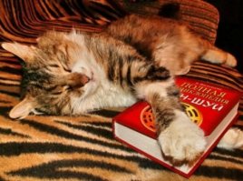 Эти животные получили диплом о высшем образовании!