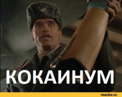 Если верить математикам, то 2017 год будет простым!