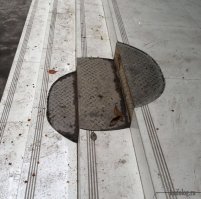 Красота под ногами
