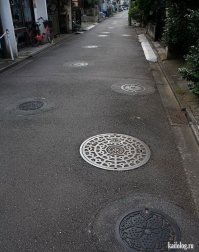 Красота под ногами