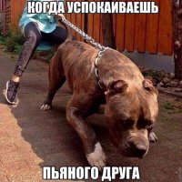 в моем случае - мужа))