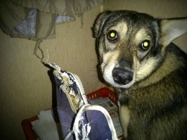 тоже эта невинность обещала, что больше не будет(( жалка уже даже жопку бить(