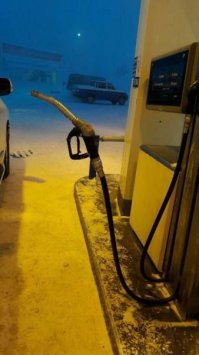 Подъехал заклинатель змей