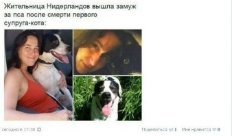 Смешные комментарии из социальных сетей!