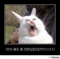 Реклама?