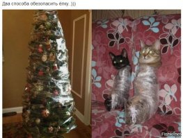 50 гениальных способов защитить елку от нападения четвероногих проказников