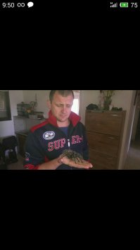 обажаю пауков,у меня они везде)))