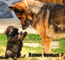 Если верить математикам, то 2017 год будет простым!
