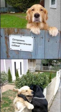 Если верить математикам, то 2017 год будет простым!