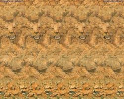 всегда пожалуйста )) я тоже люблю такое.. по началу бесился, что не получается ничего увидеть.. а потом.. спервого взгляда и без апряга стало получаться.. само собой ))
вот вам бонусом ))