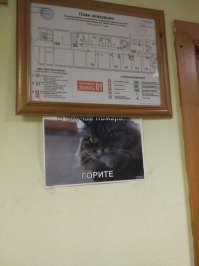 А, если серьезно, кто-нибудь, кто горел, смотрел на эту схему во время пожара?
У кого-нибудь при пожаре зародилась мысль: искать эту схему, чтобы найти выход, когда всё в дыму и жопа скоро загорится?
Но есть суровая российская действительность: требования пож. инспекции, "неподкупная пож. инспекторы", которым государство недоплачивает, полагаясь на ..... хер знает что!
И пожарная инспекция требует, чтобы эти схемы были обязательно, и обязательно в цвете и с пояснениями этих символов!
Если у тебя не будет этой схемы, тебя накажут, очень серьезно накажут! 
Пожарная инспекция ты ТАКАЯ ЗАБОТЛИВАЯ! С ними не шути!
Если у тебя нет этой схемы или (о, боже!) огнетушителей (что невообразимое грубое и наглое нарушение), ты можешь продать свой товар в магазине инспектору с офигенной скидкой! И у тебя сразу будет высшая степень пожароопасности! У тебя сразу на некоторое время появятся и схема, и огнетушители! Правда, виртуально. Правда, временно.
Пожарная инспекция любит магазины, в которых продаются товары их интересующие!
Пожарная инспекция любит магазины, в которых эти схемы составлены с некоторым нарушением. 
(P.S. Для начинающих хозяинов магазинов: 
в магазине не может не существовать нарушений, просто есть магазины не до конца проверенные! 
Хуже, когда (из личного опыта) проверяющие приходят по указке сверху, когда недобор налогов в казне. Они приходят и прямо говорят, какой бы вы хороший не были, но 50 000 руб. мы с вас должны снять. Пытался что-то сделать - бесполезно! У меня не было овоскопа и ведра с подписью "для мытья холодильных витрин"..... ТО, что кур.яйца мы продавали качественные и холодильники все были чистые - никого не волновало! ВОЛНОВАЛО ОДНО - НЕДОБОР НАЛОГОВ В КРАЕ!
Суки.
Зато наш край выполнил норму по сбору налогов с предпринимателей!
Сейчас 50 000 руб. вроде бы не очень много, а раньше это бы весьма ощутимо.
И не дай бог, если у тебя магазин ПРОДОВОЛЬСТВЕННЫЙ!
ТО, дарогой, к тебе не зарастет народная тропа из инспекторов, участковых, проверяющих....!
Ведь они тебе желают процветания, поэтому и ходят так часто, "от чистого сердца"!
Нужно будет много огнетушителей покупать ..............И все "по закону"....