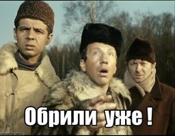 Ветеринарам еще не приходилось иметь дела с кошками в таких дредах