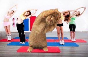 Ну уж, сразу в крайности кидаться...  Постепенно надо ;) Вот так, например: