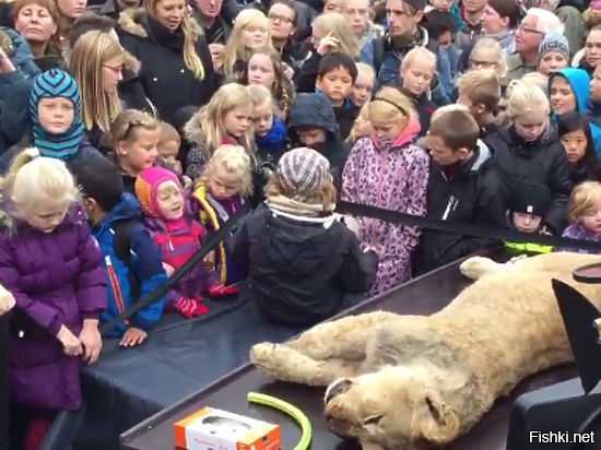 В датском зоопарке не глазах у детей убили и расчленили жирафа.

В датском зоопарке убили и расчленили льва на глазах у детей.

В датском зоопарке снова убили и расчленили льва на глазах у детей.