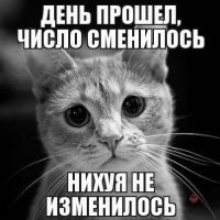 Чем же запомнился 2016 год?