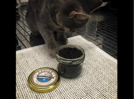 Если верить математикам, то 2017 год будет простым!