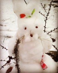 заЯц )