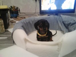 Знаете почему на них невозможно злиться?